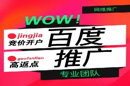 搜索引擎营销（SEM）托管服务在某企业的成功应用